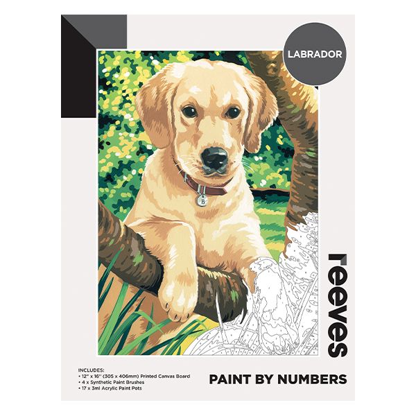 Picture of Labrador Paint By Numbers 12×16in