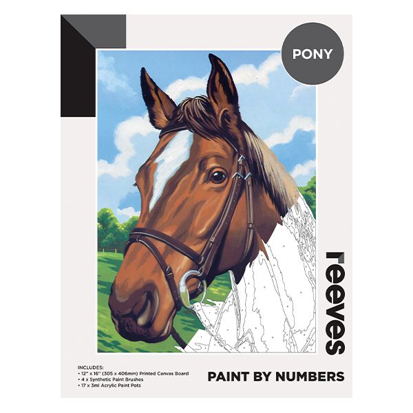 Picture of Pony Paint By Numbers 12×16in